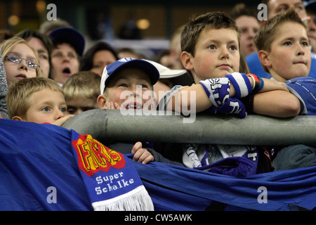 Veltins Arena, Veltins-Arena de Gelsenkirchen Banque D'Images