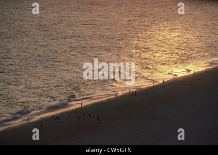 Portrait de touristes sur la plage Banque D'Images