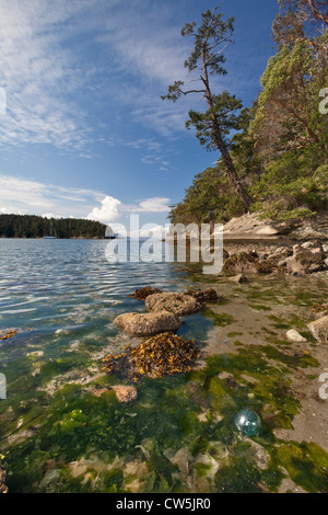 USA, Washington, San Juan Islands, Île Sucia Banque D'Images