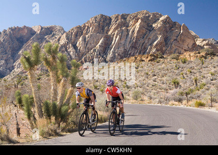 Jeune couple riding bicycles à travers un désert