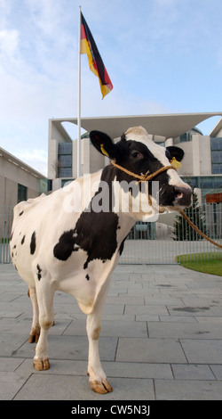 Vache en face de la chancellerie à Berlin Banque D'Images