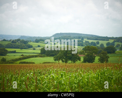 En regardant vers le château de Beeston Cheshire Rawhead UK Banque D'Images