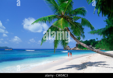 Couple sur Anse sévère sur l'île de La Digue aux Seychelles Banque D'Images