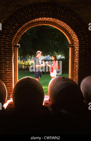 Dégustation de vin vignes autour de Stellenbosch dans la province du Cap-Occidental en Afrique du Sud Banque D'Images