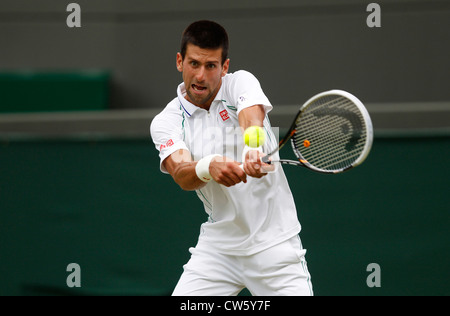 Novak Djokovic (SRB) en action à Wimbledon Banque D'Images