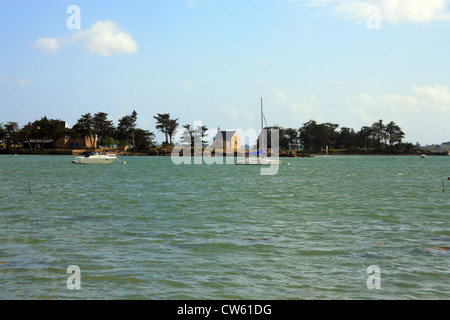 Vue sur chapelle sur l'ile de boedic de Roguedas, Golfe du Morbihan, Vannes, Morbihan, Bretagne, France Banque D'Images