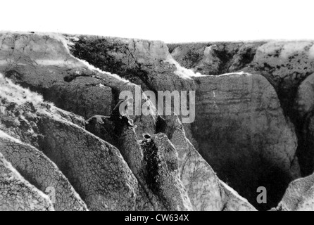 La Mongolie. Le Dr Roy Chapman Andrews' expédition dans le désert de Gobi (1928) Banque D'Images