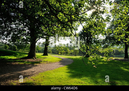 Sentier à travers un parc dans l'été près de Keswick dans le Lake District Banque D'Images