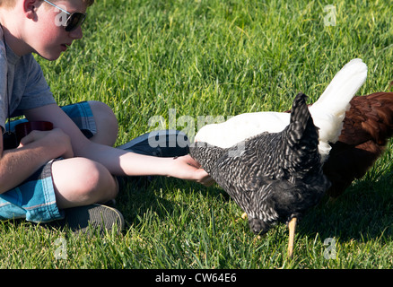 Boy feeding les poules en liberté sur l'herbe, journée ensoleillée, l'été, centre de l'Utah. Banque D'Images