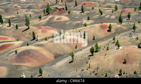 Dunes peint, Lassen Volcanic National Park Banque D'Images