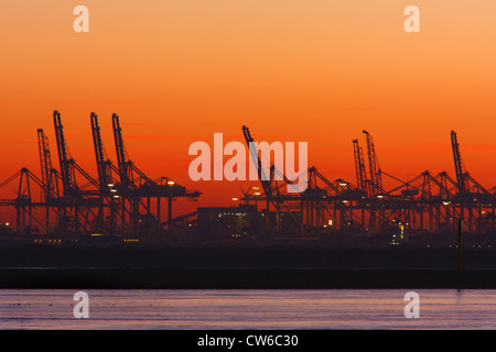 Europort Hoek van Holland à l'incandescence du soir, Pays Bas Banque D'Images