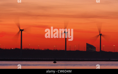 L'Europort windpark à Hoek van Holland dans la lumière du soir, Pays-Bas Banque D'Images