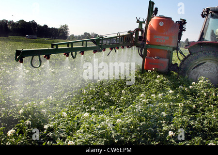 Le déploiement de pesticide sur un champ de pommes de terre Banque D'Images