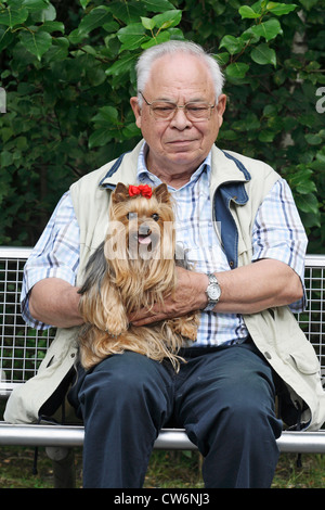 Yorkshire Terrier (Canis lupus f. familiaris), vieil homme assis sur un banc avec son chien de 9 ans Banque D'Images