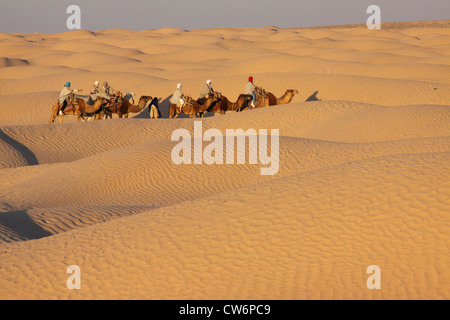 Tourist caravan en Amérique du Sahara, Tunisie, Douz Banque D'Images