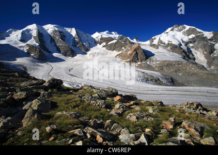 Vue depuis Diavolezza sur Piz Palue, Bellavista, le Piz Bernina, Pers (Glacier Vadret Pers), Suisse, Grisons, Engadine, Bernina-Diavolezza Banque D'Images