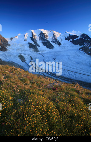 Vue depuis Diavolezza sur Piz Palue, Bellavista, le Piz Bernina, Pers (Glacier Vadret Pers), Suisse, Grisons, Engadine, Bernina-Diavolezza Banque D'Images