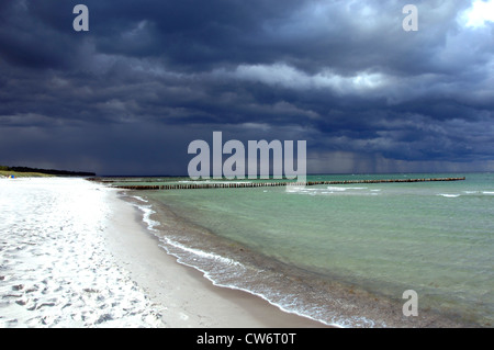 Nuages noirs sur une plage de sable fin, l'Allemagne, de Mecklembourg-Poméranie occidentale, Darss Banque D'Images