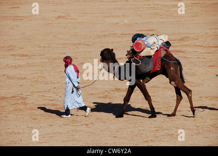 Trekking de chameau à travers le désert du Sahara Banque D'Images