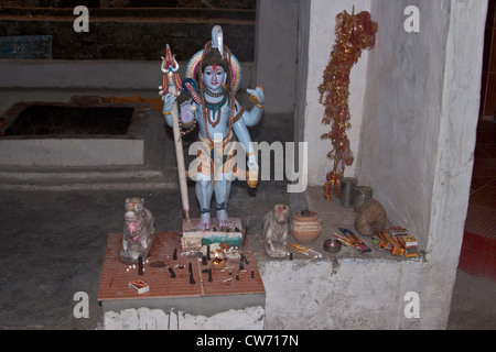 Statue de Seigneur Shiva à Tarkeshwar dans Uttarakhand. Un petit temple situé à 40 km de Lansdowne entre Deodhar arbres de la forêt Banque D'Images