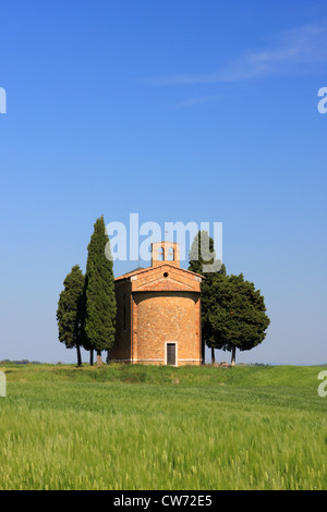 Chapelle de Vitaleta de cyprès et champ de grain, Italie, Toscane, Val d'Orcia Banque D'Images