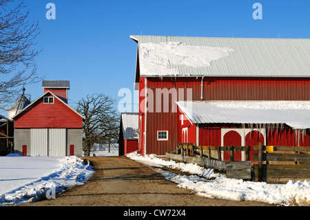 La fin de l'hiver de l'Illinois USA Midwest scène farm barns s'asseoir entre dégèle comme forme de givre le long des lignes de toit. Banque D'Images