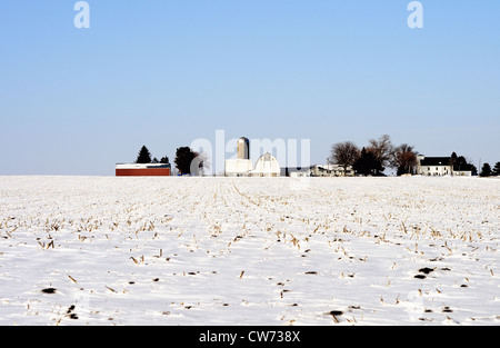 USA Illinois Winter scene Midwestern isolé ferme grande terre ouverte Banque D'Images