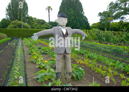 L'épouvantail Diggory au Jardins perdus de Heligan, Cornwall Banque D'Images