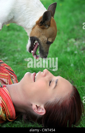 Jack Russell Terrier (Canis lupus f. familiaris), woman lying in meadow, chien à la recherche dans ses yeux Banque D'Images