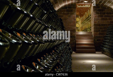 Salle de stockage des bouteilles de champagne dans la cave, l'Allemagne, Rhénanie-Palatinat Banque D'Images