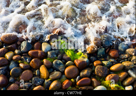 Pierres sur la plage de la mer Baltique, l'Allemagne, de Mecklembourg-Poméranie occidentale, Bad Doberan Banque D'Images