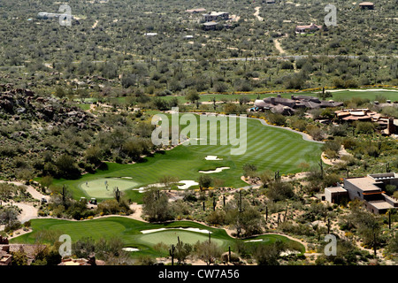 Saguaro (Carnegiea gigantea), terrain de golf au parc de Pinnacle dans paysage avec des saguaros, USA, Arizona, Phoenix Banque D'Images