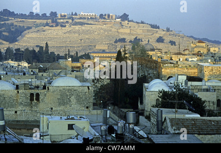 Vue sur les toits de la vieille ville de Mont des Oliviers, d'Israël, Jérusalem Banque D'Images