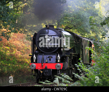 'Nouveau' Construire un poivre1 'Pacific' No 60163 Tornade traverse Northwood sur la Severn Valley Railway Banque D'Images