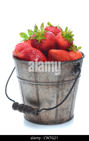 Un seau plein de fraises fraîchement cueillies. Format vertical isolé sur un fond blanc avec un léger reflet. Banque D'Images