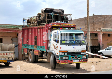 Transport des animaux avec des bêtes et des moutons sur le haut, Maroc Banque D'Images