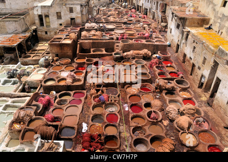 Des tanneurs et des teinturiers' trimestre chouwara, Maroc, Fes Banque D'Images