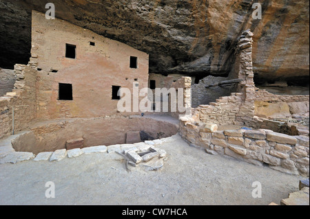 Logement falaise Epicéa Tree House, USA, Colorado, Mesa Verde National Park Banque D'Images