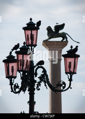 Surround oiseaux Lion ailé colonne et un lampadaire dans la Piazetta di San Marco (la Place St Marc) Banque D'Images