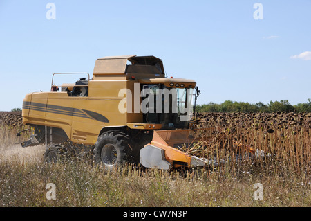 Les activités agricoles, l'équipement agricole dans la zone Banque D'Images