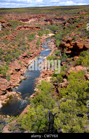 Murchison River coule à travers le Parc National de Kalbarri Australie Occidentale Banque D'Images