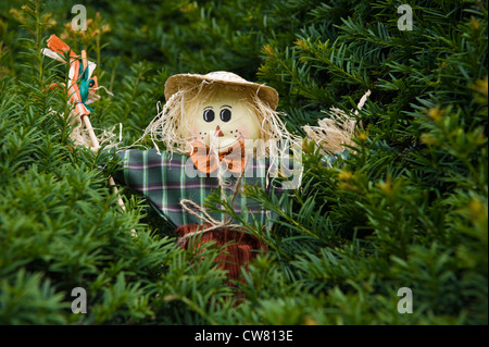 Minature épouvantail en if à couverture fête du village sur le jour de l'épouvantail dans village de Brampton Bryan Herefordshire Angleterre UK Banque D'Images