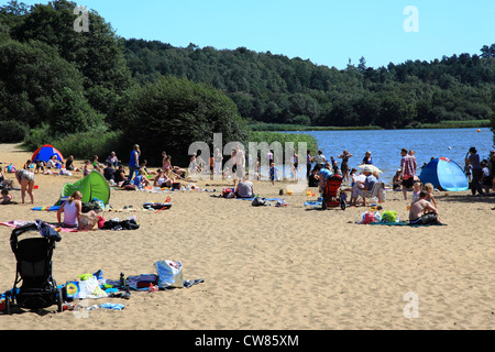 Grand étang de Frensham, Frensham Common, collines du Surrey, Angleterre Banque D'Images