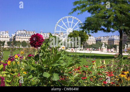 La Grande Roue dans le jardin des Tuileries et le Musée du Louvre Paris, Ile de France, France, Europe, UNION EUROPÉENNE Banque D'Images