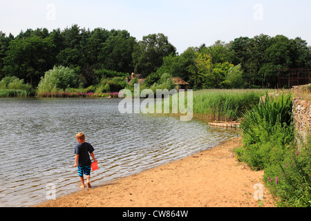 Petit étang, Frensham Common, collines du Surrey, Angleterre Banque D'Images