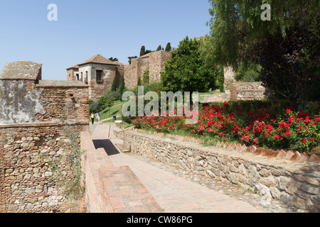 L'Alcazaba fortification à Malaga en Espagne Banque D'Images