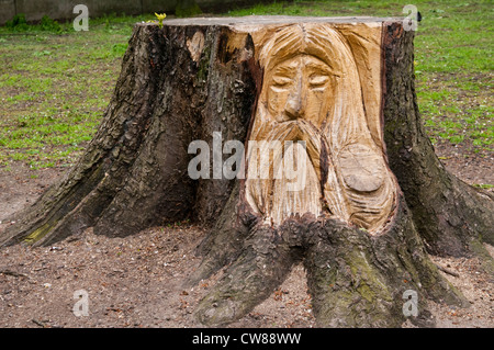 La sculpture sur bois par Mark Butler à Vernon Park à Nottingham, Nottinghamshire England UK Banque D'Images