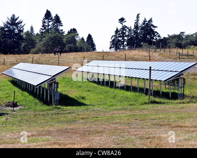 Portoirs de panneaux photovoltaïques montés sur des poteaux dans un champ pour pouvoir fournir grande ferme sur l'île de Whidbey Washington Banque D'Images