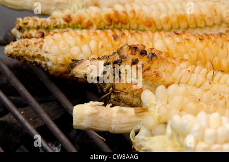 L'Equateur, Quito. Marché d'Otavalo. Des épis de maïs local de la torréfaction sur le grill. Banque D'Images