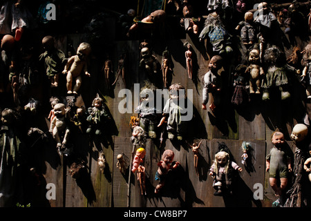 Dolls accrocher sur un arbre sur l'île des poupées dans Xochimilco, au sud de Mexico City Banque D'Images